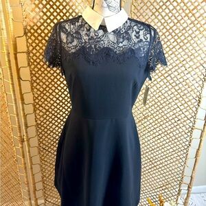Black Lace Dress A-Line Maison Jules